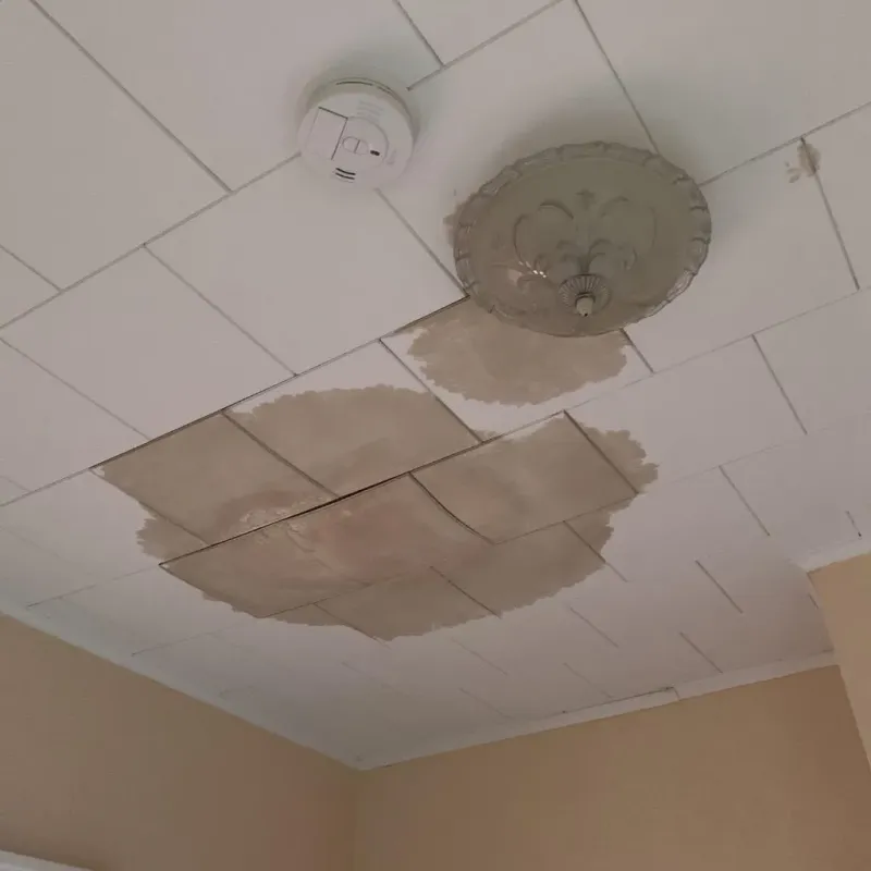 Ceiling Water Damage Repair in White Island Shores, MA