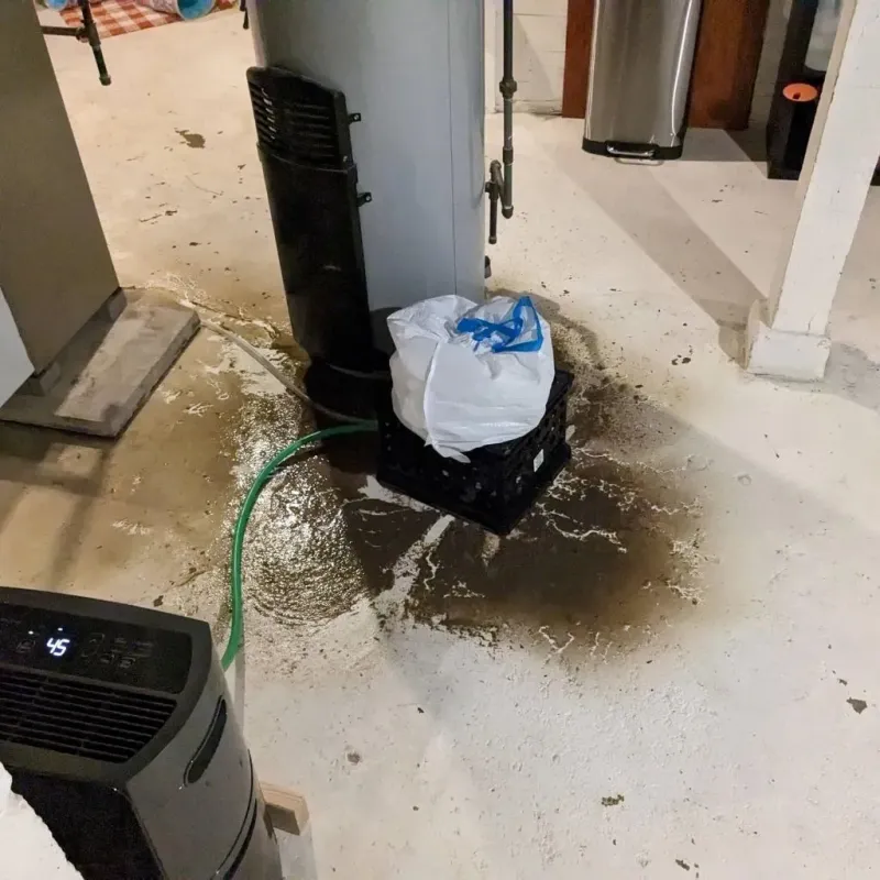 Sewage Backup Cleanup Service in White Island Shores, MA
